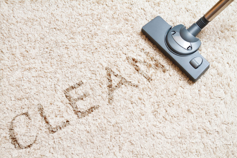 Everything You Ought To Know About Carpet Cleaning